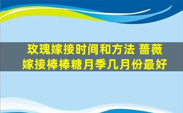 玫瑰嫁接时间和方法 蔷薇嫁接棒棒糖月季几月份最好